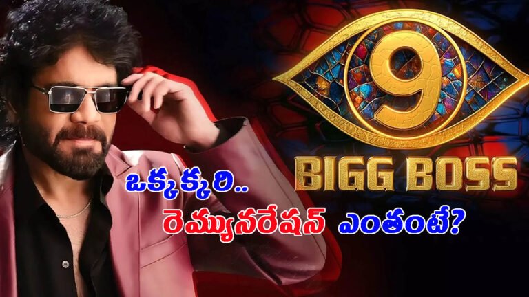 బిగ్‏బాస్ 9: 15 మంది కంటెస్టెంట్స్.. ఒక్కక్కరికి ఎంత రెమ్యునరేషన్ అంటే?