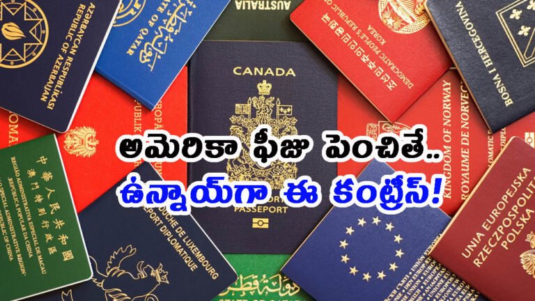 అమెరికా ఫీజు పెంచితే.. ఉన్నాయ్‌గా ఈ కంట్రీస్!