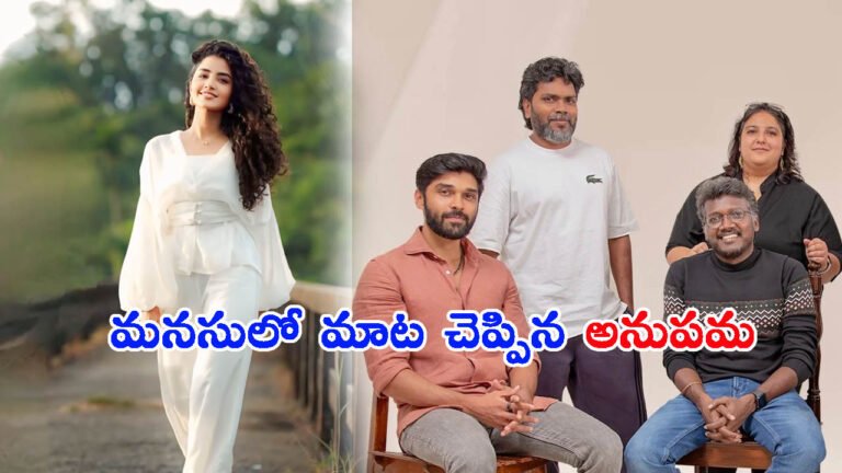 ఆ ఆఫర్ మిస్సయ్యా.. అందుకే ఇది చేశా!: అనుపమ మరమేశ్వరన్