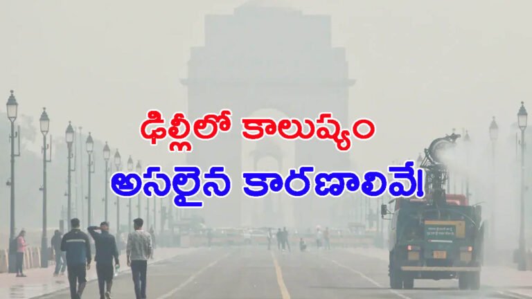 ఢిల్లీలో భారీగా పెరిగిపోతున్న కాలుష్యం: అసలైన కారణాలివే!