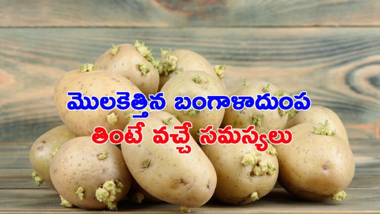 మొలకెత్తిన బంగాళాదుంప: తింటే వచ్చే సమస్యలు