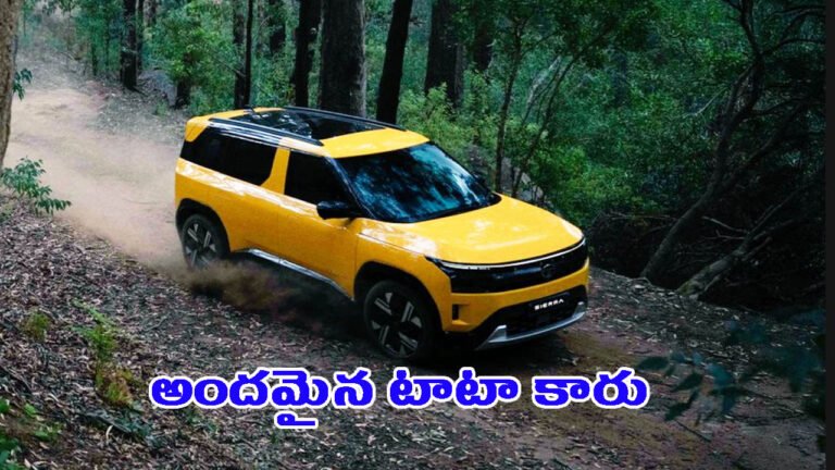 అందమైన కారు ఆవిష్కరించిన టాటా మోటార్స్: దీని గురించి తెలుసా?