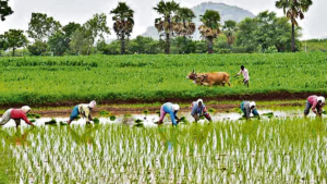 Farmer Kits Telangana