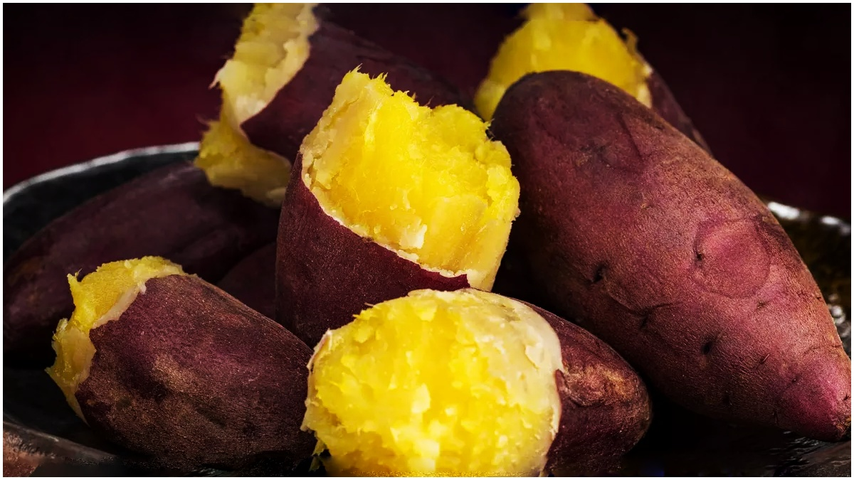 Sweet Potato Benefits Telugu