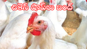 Closed shutter of a chicken shop with a strike notice in Telangana