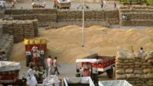 Telangana Paddy Procurement