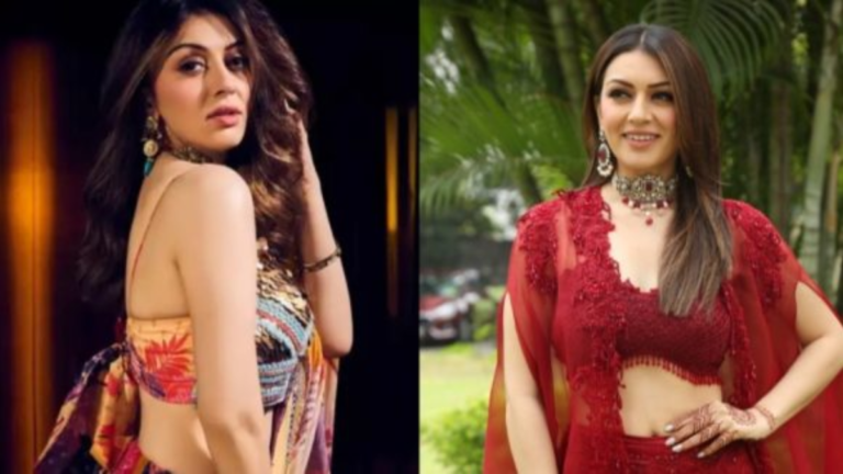 Hansika Motwani Desamuduru Interview