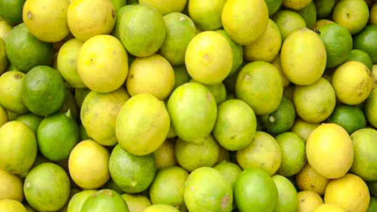 వామ్మో.. నిమ్మ: కేజీ రేటు ఎంతో తెలుసా?